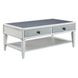 Katia Rustic Gray and Weathered White Rectangular Sintered Stone Top Coffee Table