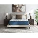 Limited Edition Firm 3.0 White Queen Mattress