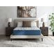 Limited Edition Plush 3.0 White Queen Mattress
