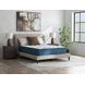 Limited Edition Plush 3.0 White Twin XL Mattress