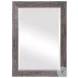 W-00520 Various Silver Tones Mirror