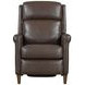 Northfield Walnut Whirl Leather Power Recliner