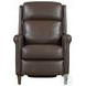 Norwin Walnut Whirl Leather Recliner