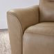 Taylor Brazilian Cappuccino Leather Zero Gravity Power Recliner