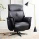 Tripp Cortana Blackberry Leather Swivel Power Recliner