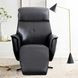 Tripp Cortana Blackberry Leather Swivel Power Recliner