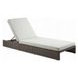 Salena Beige Upholstered Outdoor Lounge Chair