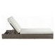 Salena Beige Upholstered Outdoor Lounge Chair