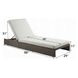 Salena Beige Upholstered Outdoor Lounge Chair