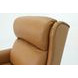 Philadelphia Santa Fe Brandy Leather Power Recliner wirh Power Headrest and Power Lumbar