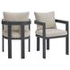 Fresca Dark Gray and Beige Outdoor Upholstered Dining Chair Set of 2