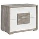 Vega White and Gray 2 Drawer Nightstand with USB Charging