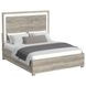 Vega White and Gray King Panel Bed with LED