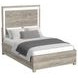 Vega White and Gray Queen Panel Bed with LED