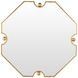 Monet Antique Brass Octagonal Large Accent Mirror