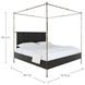 Reese Cerused Forest Black and Dark Antique Brass King Canopy Bed