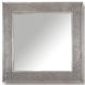 Crossings Serengeti Sandblasted Fossil Grey Wall Mirror