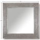 Crossings Serengeti Sandblasted Fossil Grey Wall Mirror