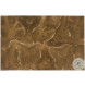 Teak Roots Natural Coffee Table