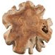 Hunter Natural Teak Root Accent Table