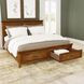 Bandalier Russet Queen Storage Panel Bed