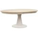 Echo Isles Sea Pearl and Driftwood 72" Extendable Oval Dining Table