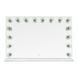 Lola Transparents Rectangular Vanity Mirror with LED Bulb