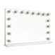 Lola Transparents Rectangular Vanity Mirror with LED Bulb