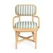 Dorine Mint Green and White Performance Fabric Upholstered Arm Chair