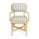 Dorine Mint Green and White Performance Fabric Upholstered Arm Chair
