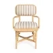 Dorine Khaki and White Performance Fabric Upholstered Arm Chair