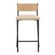 Celine Tan Performance Fabric Upholstered Bar Stool