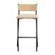 Celine Tan Performance Fabric Upholstered Counter Height Stool