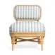 Dorine Mint Green and White Performance Fabric Upholstered Accent Chair