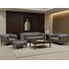 Trix Ash Gray Leather Living Room Set