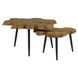 Oasis Natural Teak and Black Outdoor Free Form Nesting Table