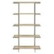 Oasis Dockside Etagere