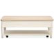 Echo Isles Sea Pearl and Driftwood Rectangular Lift Top Cocktail Table