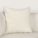 Renewed Carters Ivory 22 x 22" Accent Pillow