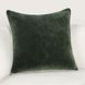 Heirloom Velvet Forest Green 22 x 22" Accent Pillow