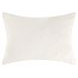 Paloma Ivory Standard Sham