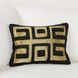 Radiant Oasis Dala Black and Gold Rectangular Accent Pillow