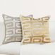 Radiant Oasis Zelo Natural and Gold Square Accent Pillow
