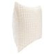 Equilibrium Ion Ivory Square Accent Pillow