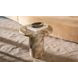 Frida Brown Outdoor Round Side Table