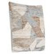 Performance Savanna Gray and Beige Square Accent Pillow