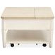 Echo Isles Sea Pearl and Driftwood Rectangular Lift Top Cocktail Table