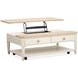 Echo Isles Sea Pearl and Driftwood Rectangular Lift Top Cocktail Table