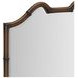 Harbor Warm Walnut Irregular Accent Mirror