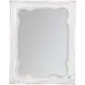 Newport Daisy Landscape Mirror